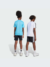 Шорты Adidas Clima модель JJ1038-KZ Фото