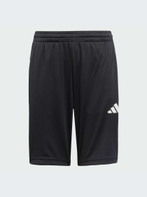 Шорты Adidas Clima модель JJ1038-KZ Фото