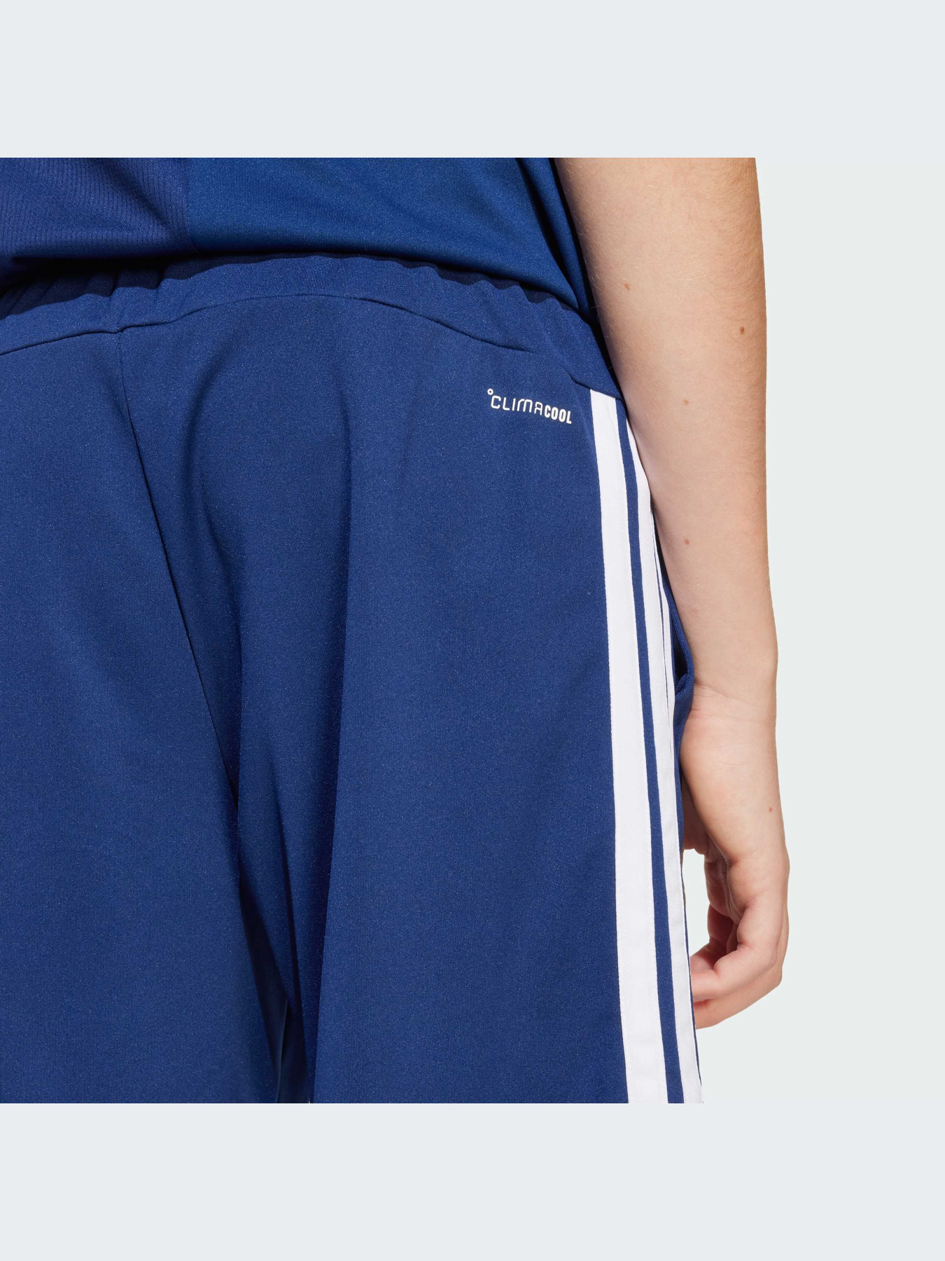 Шорты Adidas Clima модель JJ1040-KZ Фото