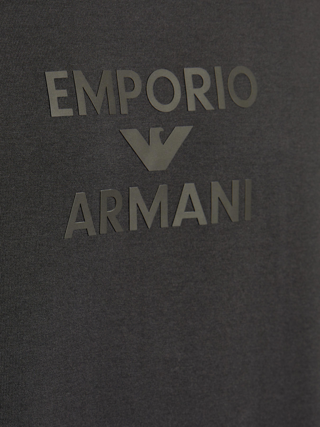 Футболки и поло Emporio Armani модель EM000780-AF12926-U8168 Фото
