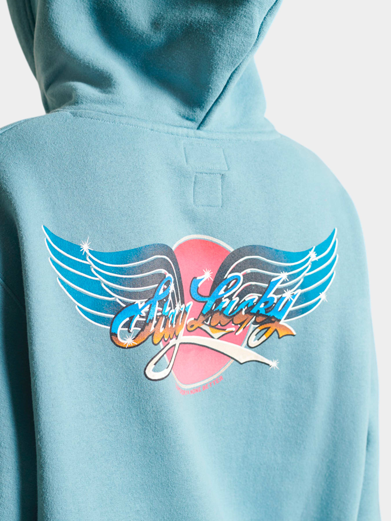 Худи и свитшоты Superdry модель W2011245AZ6U Фото