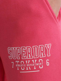 Брюки Superdry модель W7010006AFNS Фото