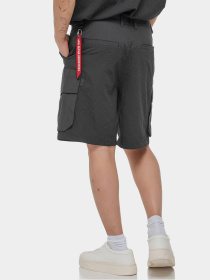 Шорты Alpha Industries модель MBS55000C1_077 Фото