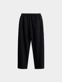 Брюки Alpha Industries модель MBE55000C1_001 Фото