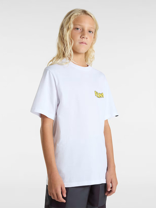 Футболки и поло Vans модель VN000NWQWHT1 Фото