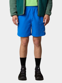 Шорты The North Face модель NF0A5IG5T4S1 Фото