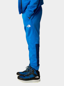 Брюки The North Face модель NF0A89HWT4S1 Фото