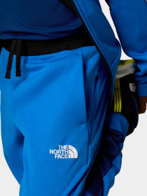 Брюки The North Face модель NF0A89HWT4S1 Фото