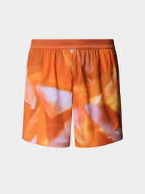 Шорты The North Face модель NF0A8BBU63K1 Фото