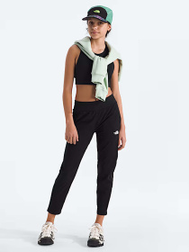 Брюки The North Face модель NF0A8BE0JK31 Фото