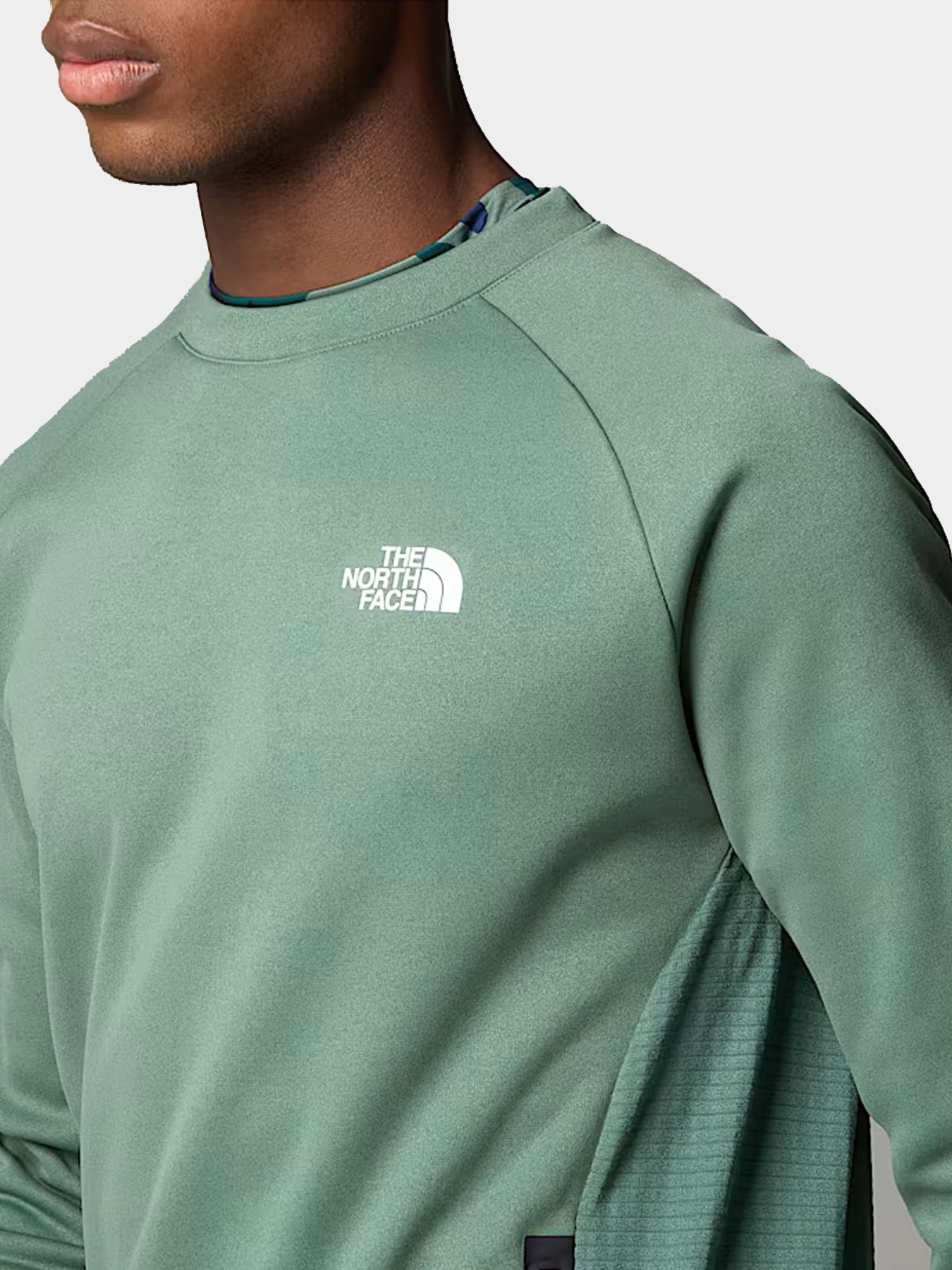 Худи и свитшоты The North Face модель NF0A8BFNHCH1 Худи и свитшоты The North Face модель NF0A8BFNHCH1 Фото