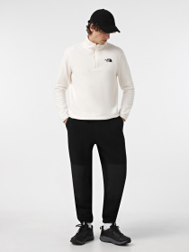 Худи и свитшоты The North Face модель NF0A855W4HP1 Фото