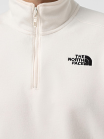Худи и свитшоты The North Face модель NF0A855W4HP1 Фото
