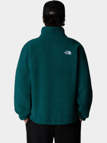 Худи и свитшоты The North Face модель NF0A88XR6GI1 Фото