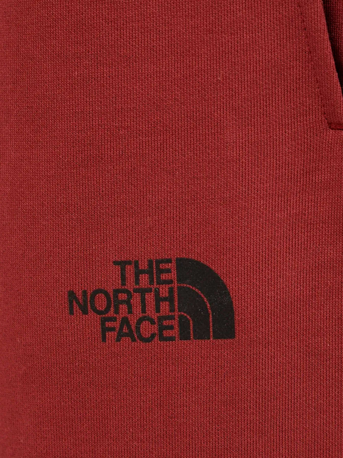 Брюки The North Face модель NF0A8C3W0VO1 Фото