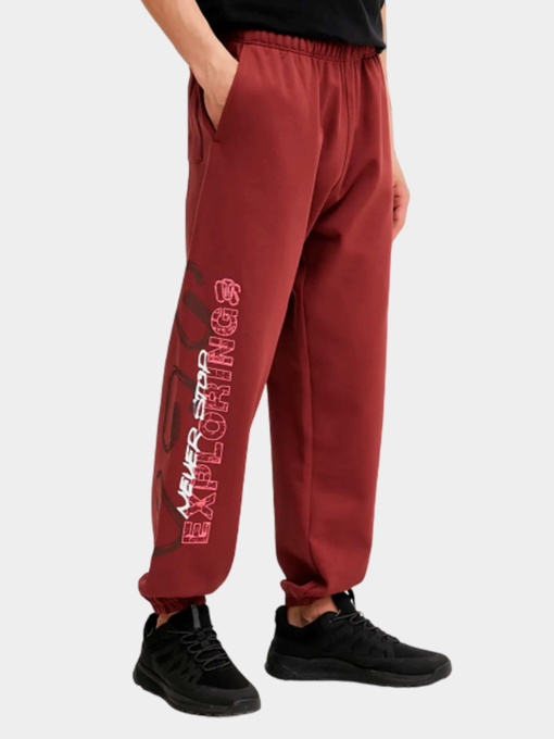 Брюки The North Face модель NF0A8C3W0VO1 Фото