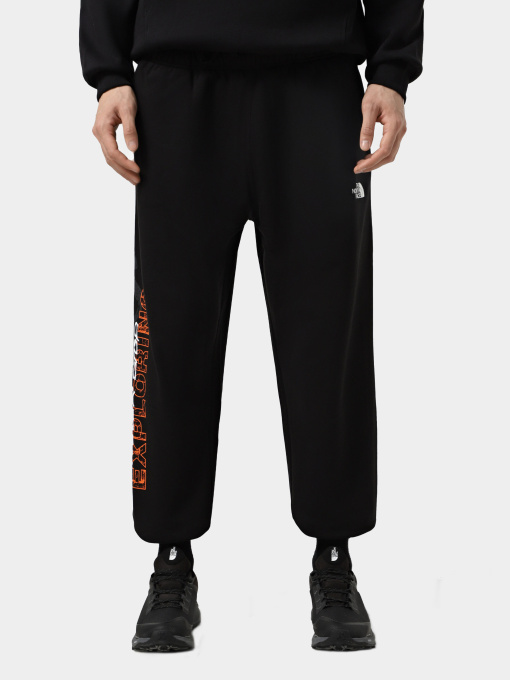 Брюки The North Face модель NF0A8C3WJK31 Фото