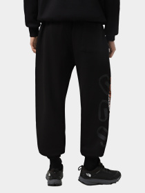 Брюки The North Face модель NF0A8C3WJK31 Фото