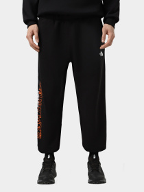 Брюки The North Face модель NF0A8C3WJK31 Фото