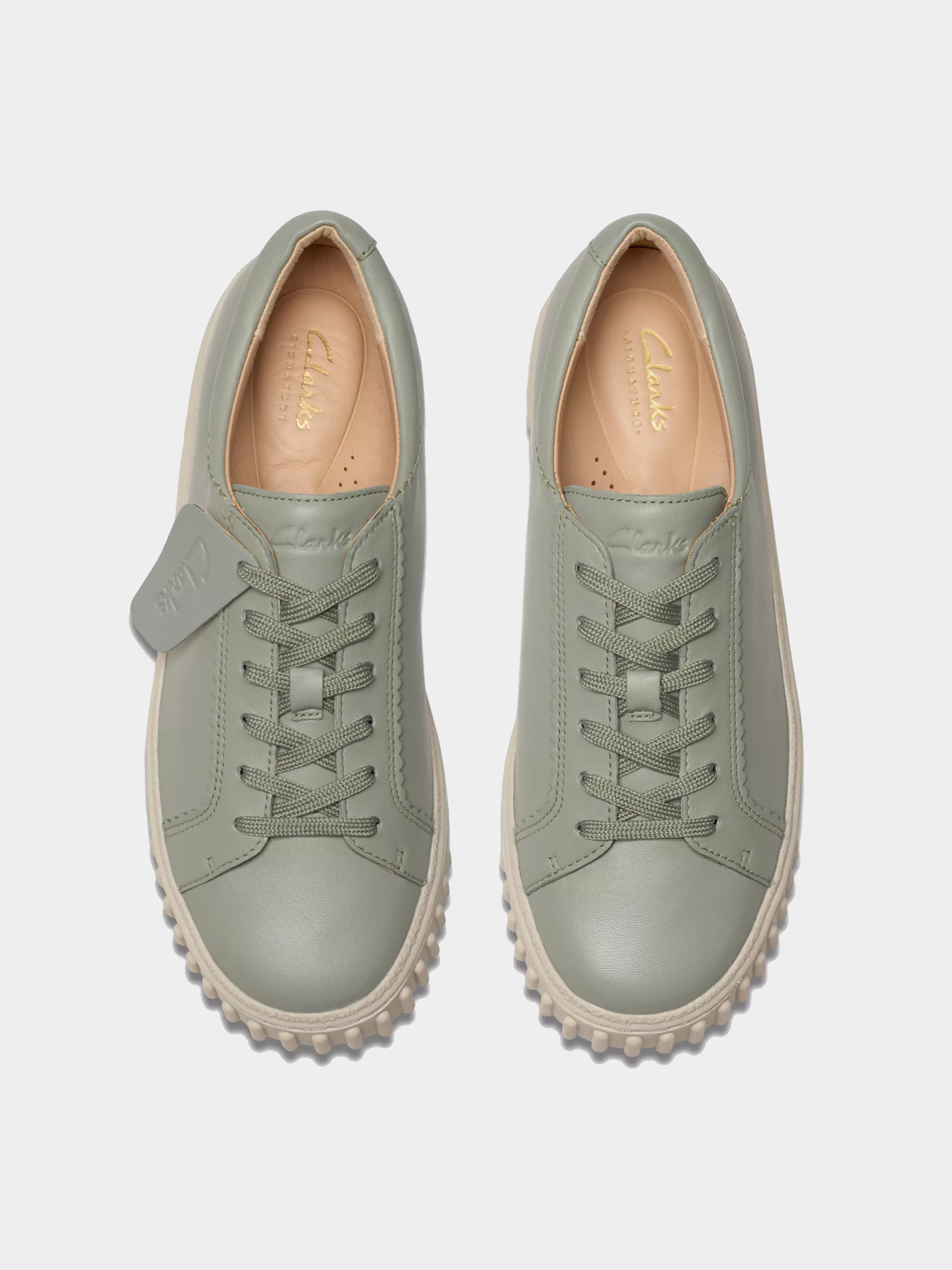 Кеды Clarks модель 26181208 Фото