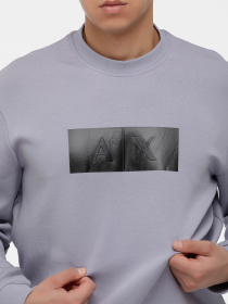 Худи и свитшоты Armani Exchange модель XM000743-AF13047-UA047 Фото