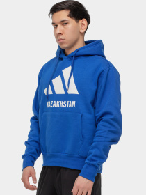 Худи и свитшоты Adidas модель JN3935 Фото