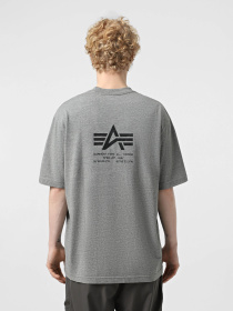 Футболки и поло Alpha Industries модель MTU55004C1_063 Фото