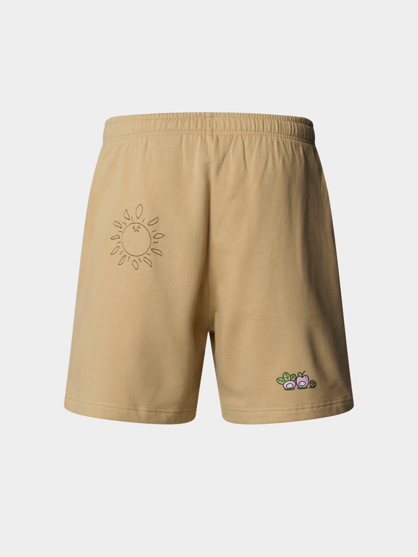 Шорты The North Face модель NF0A8C2XLK51 Фото