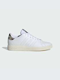 Кеды Adidas Advantage модель JS2877-KZ Фото