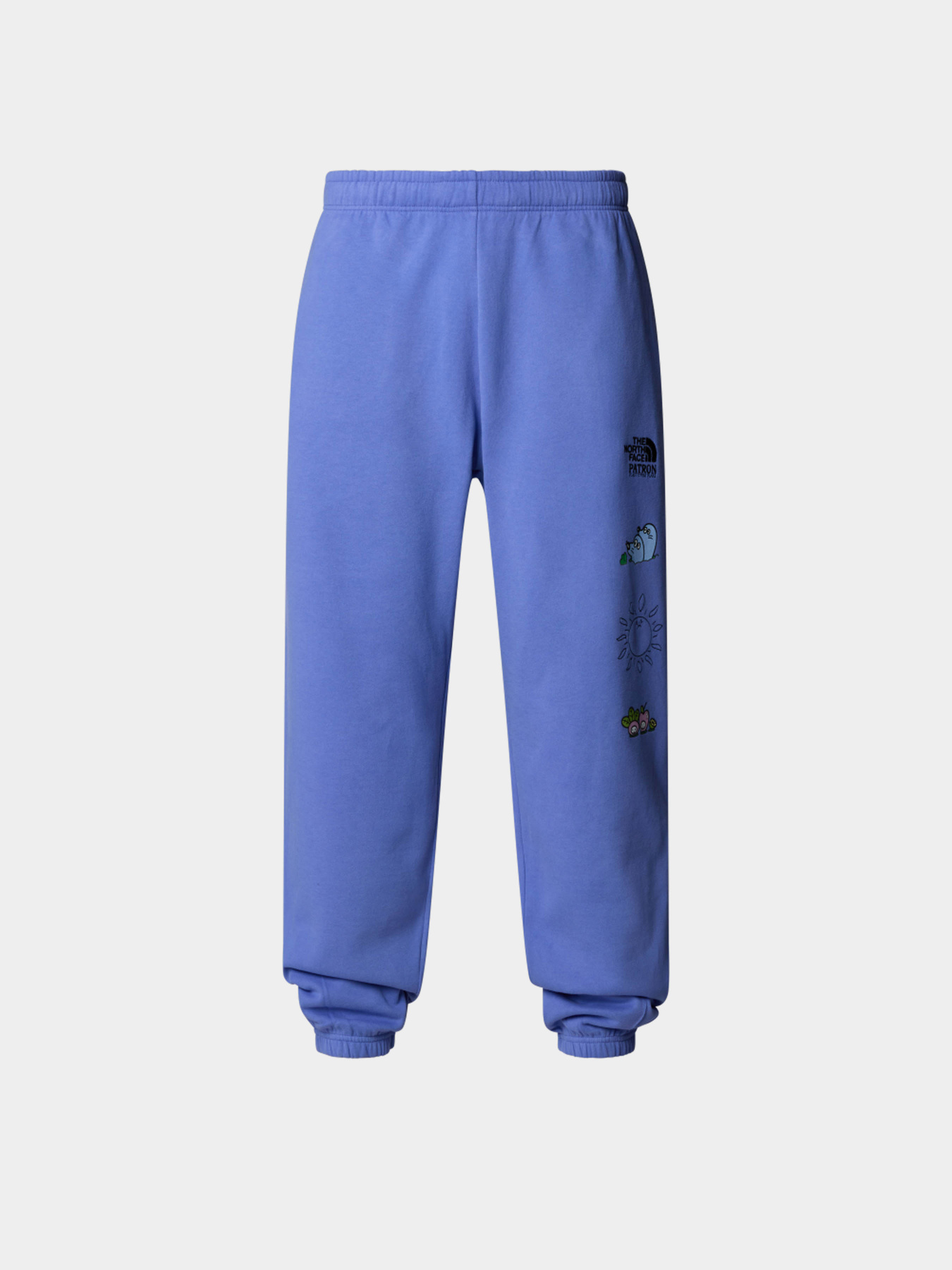 Брюки The North Face модель NF0A8C2W0YI1 Фото