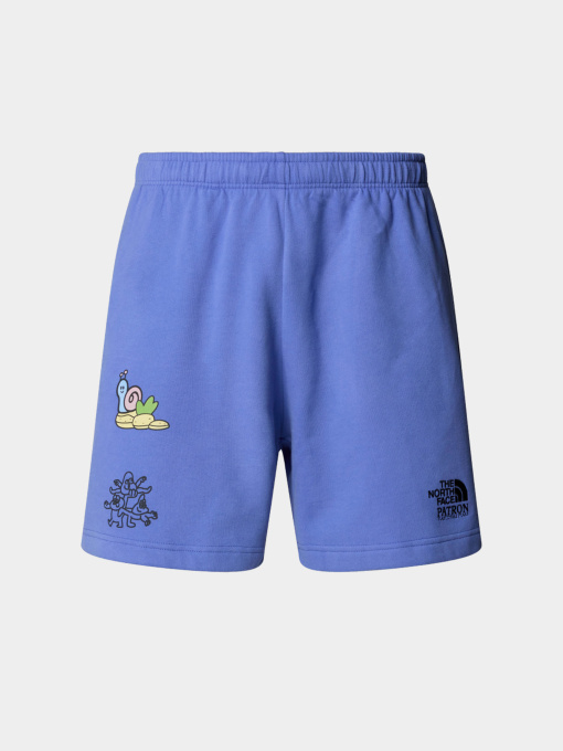 Шорты The North Face модель NF0A8C2X0YI1 Фото