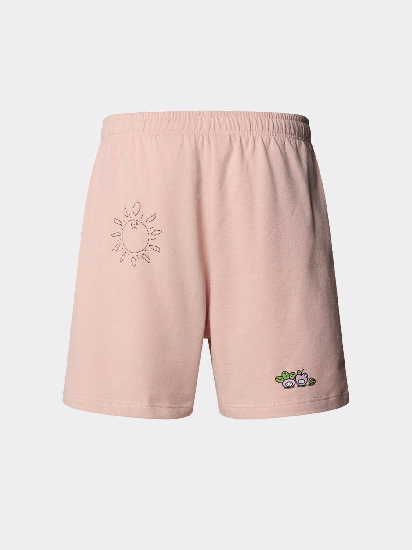 Шорты The North Face модель NF0A8C2XLK61 Фото