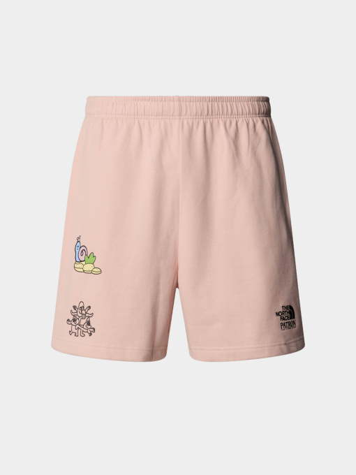Шорты The North Face модель NF0A8C2XLK61 Фото