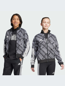 Худи и свитшоты Adidas Tiro модель KA3363-KZ Фото
