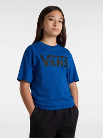 Футболки и поло Vans модель VN000IVF7WM1 Фото