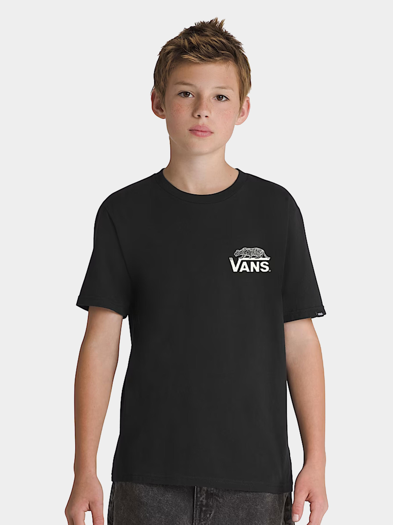 Футболки и поло Vans модель VN000MK2BLK1 Фото