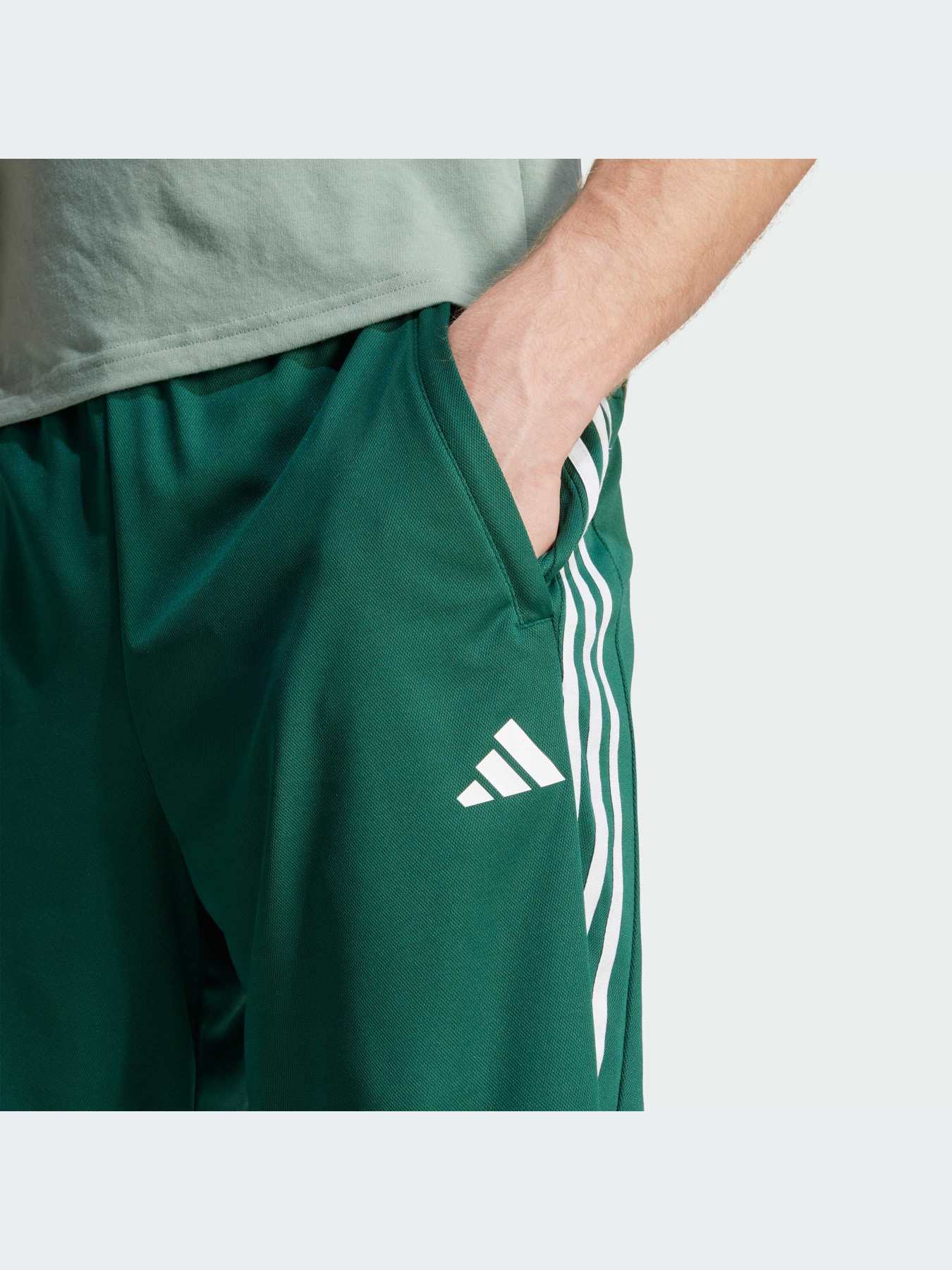 Шорты Adidas модель JC8346-KZ Фото