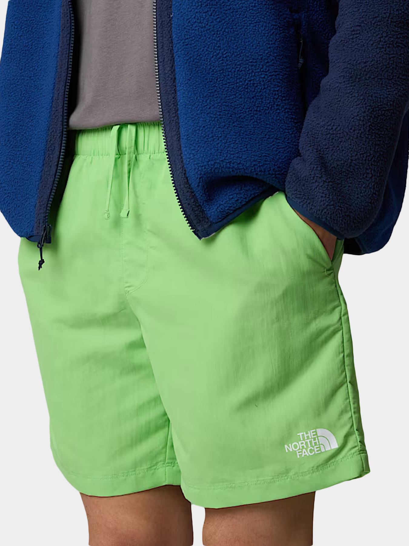 Шорты The North Face модель NF0A5IG56II1 Фото