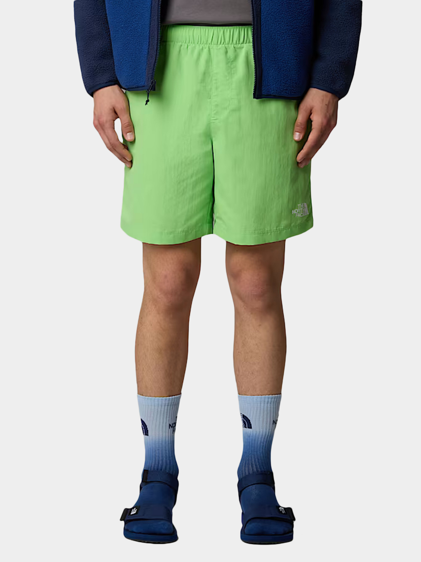 Шорты The North Face модель NF0A5IG56II1 Фото