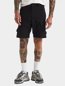 Шорты The North Face модель NF0A883Q4H01 Фото