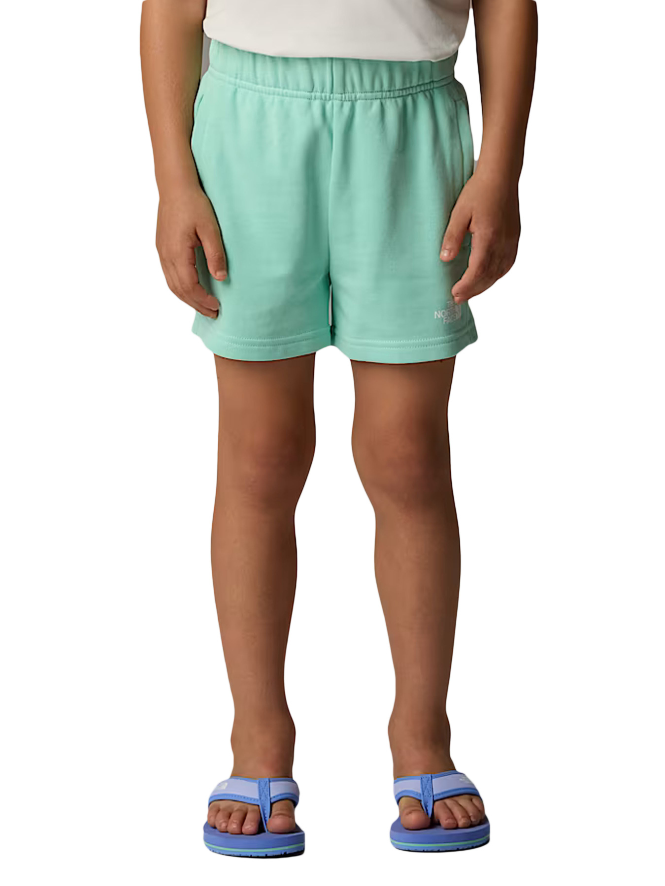 Костюмы The North Face модель NF0A8ANU56R1 Фото