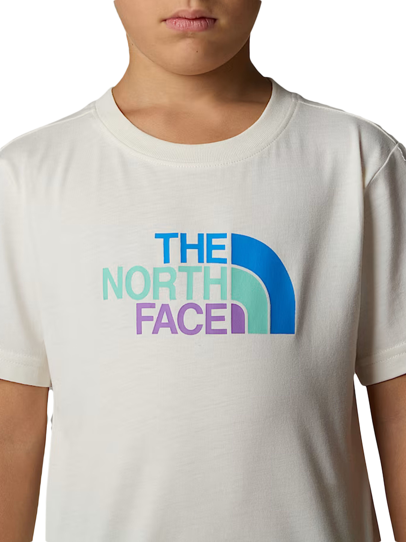 Костюмы The North Face модель NF0A8ANU56R1 Фото