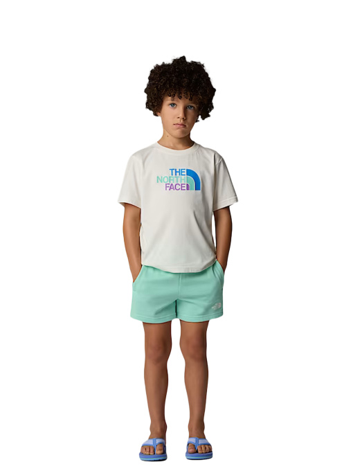 Костюмы The North Face модель NF0A8ANU56R1 Фото