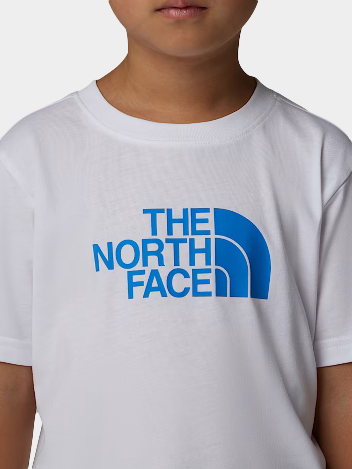 Костюмы The North Face модель NF0A8ANUTL41 Фото