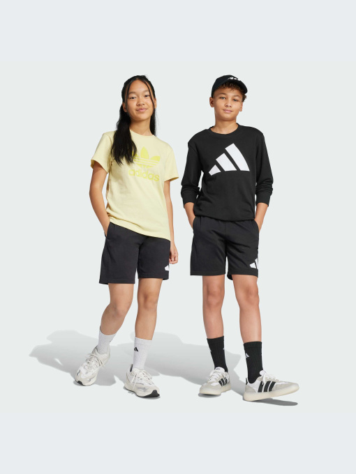 Шорты Adidas модель JE1391-KZ Фото