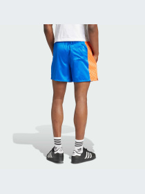 Шорты Adidas Graphics модель JD0704-KZ Фото
