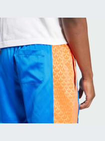 Шорты Adidas Graphics модель JD0704-KZ Фото