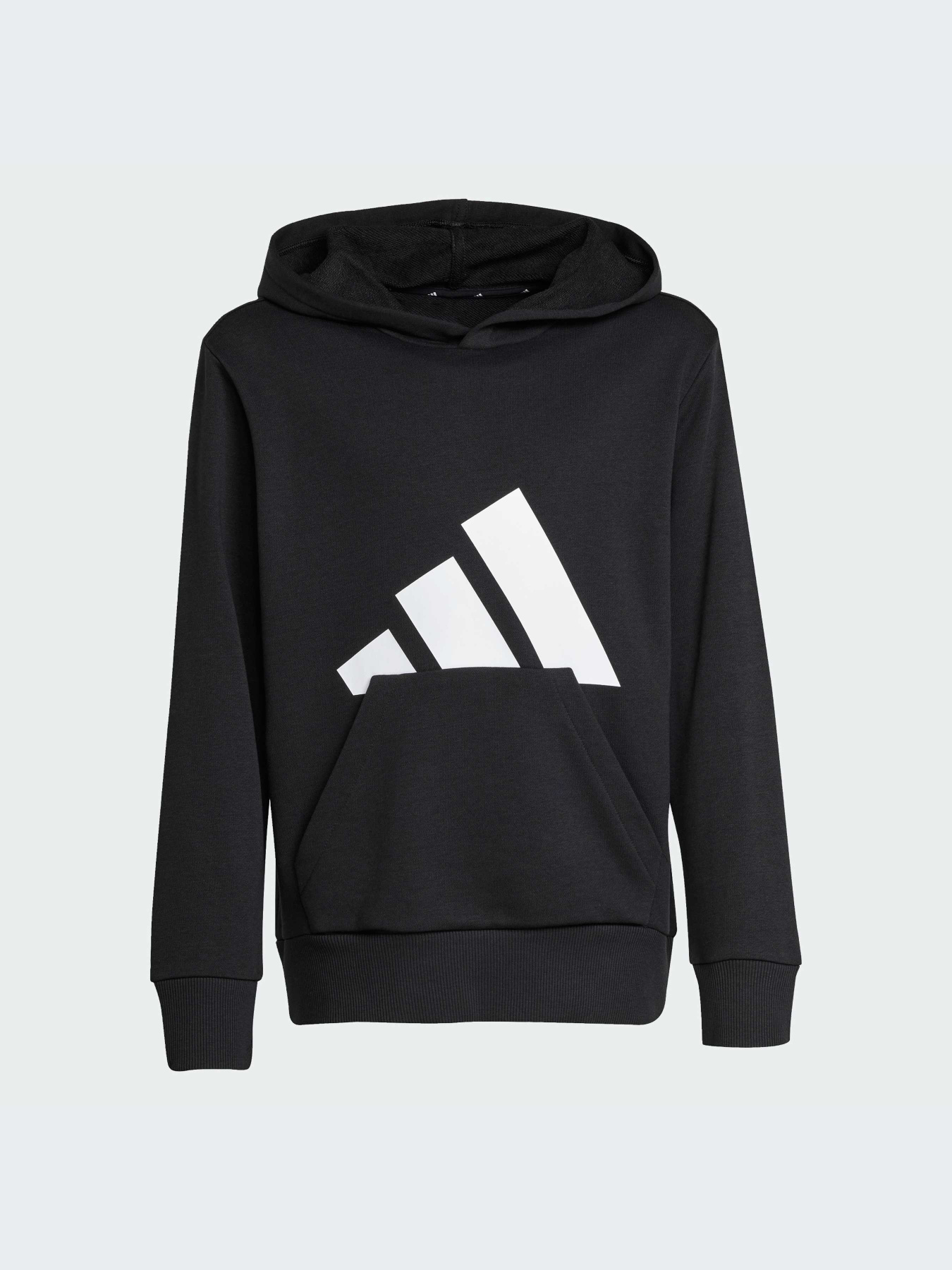 Худи и свитшоты Adidas модель JC9667-KZ Фото