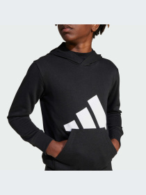 Худи и свитшоты Adidas модель JC9667-KZ Фото