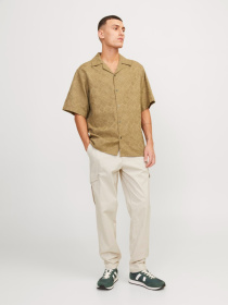 Брюки JACK & JONES модель 12253108_Moonbeam Фото